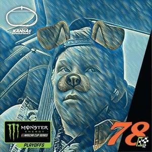 Meet your Posher, Dalton